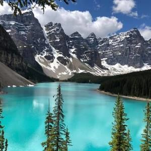 Meet your Posher, Yuan